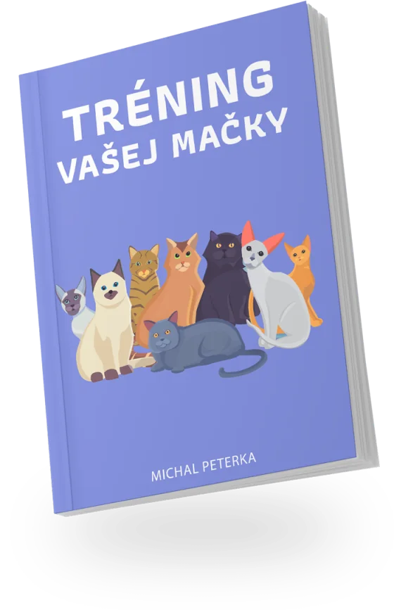 Obálka e-booku Tréning vašej mačky
