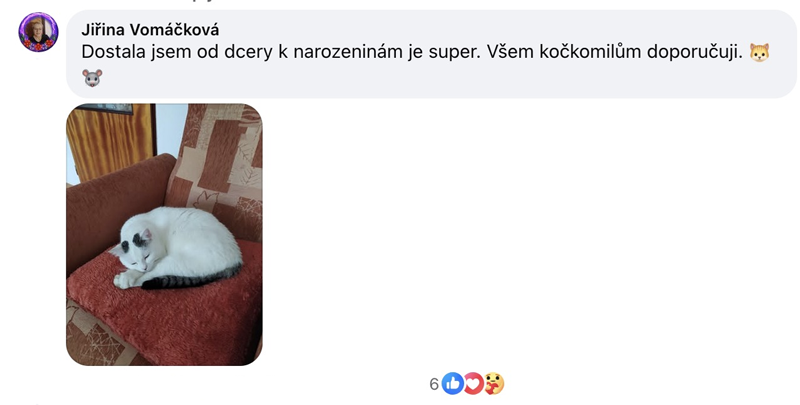 Facebookový komentár čitateľky Mačacej biblie